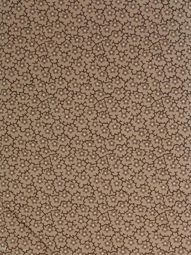 #309 ABS - Tan Flowers On Tan With Brown Vines