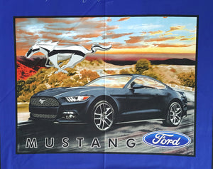#496 - Panel - Sykel Enter - Black, Ford Mustang, With Sunset In The Background